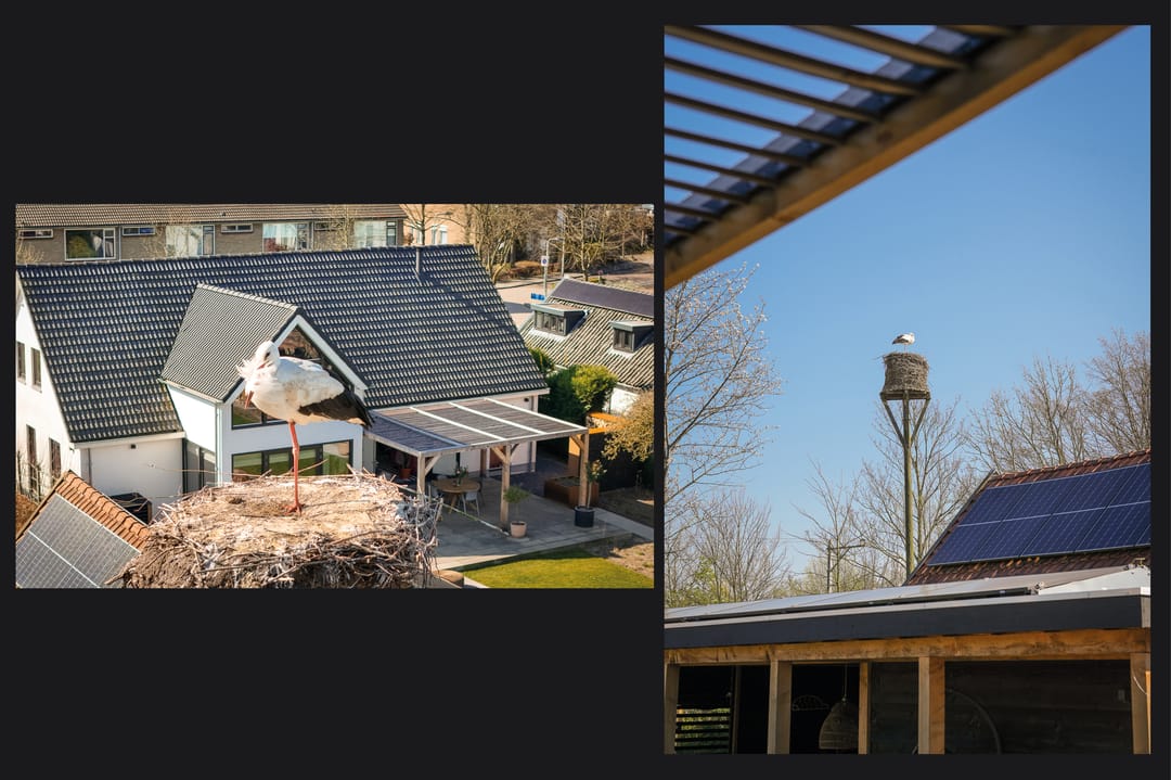 Foto 71 van Oud Schaik 11-A