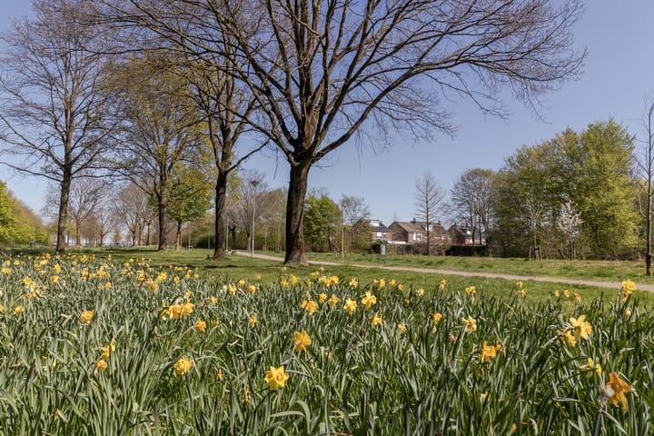 Foto 54 van Veeweg 89