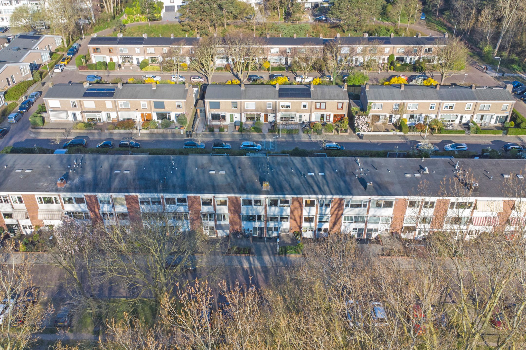 Foto 51 van Willem de Zwijgerlaan 29