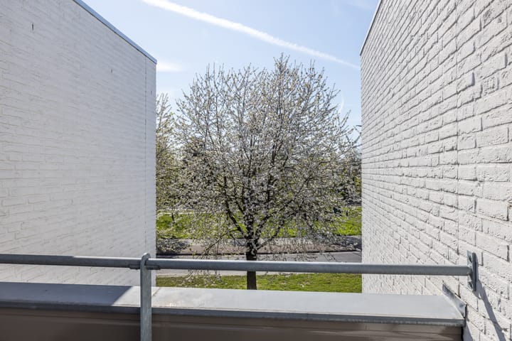 Foto 47 van Eifel 14