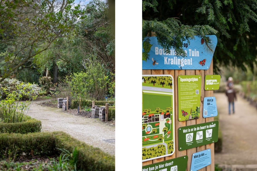 Foto 26 van Nazarethstraat 12-A