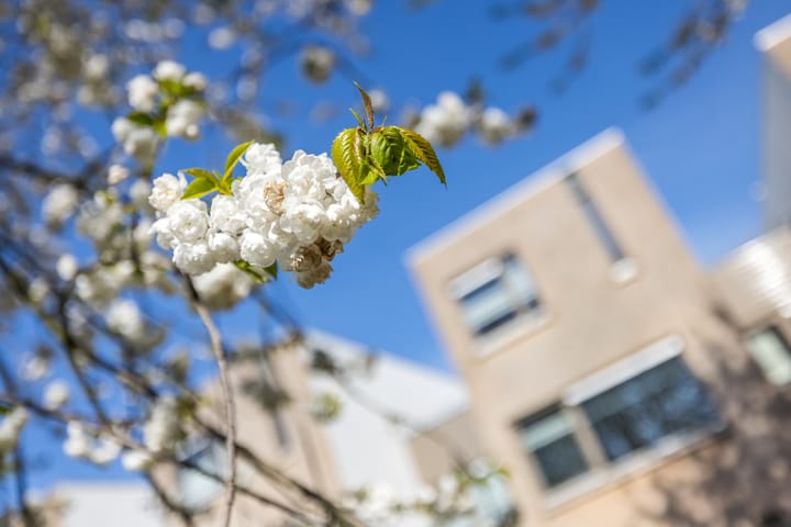 Foto 54 van Eifel 14