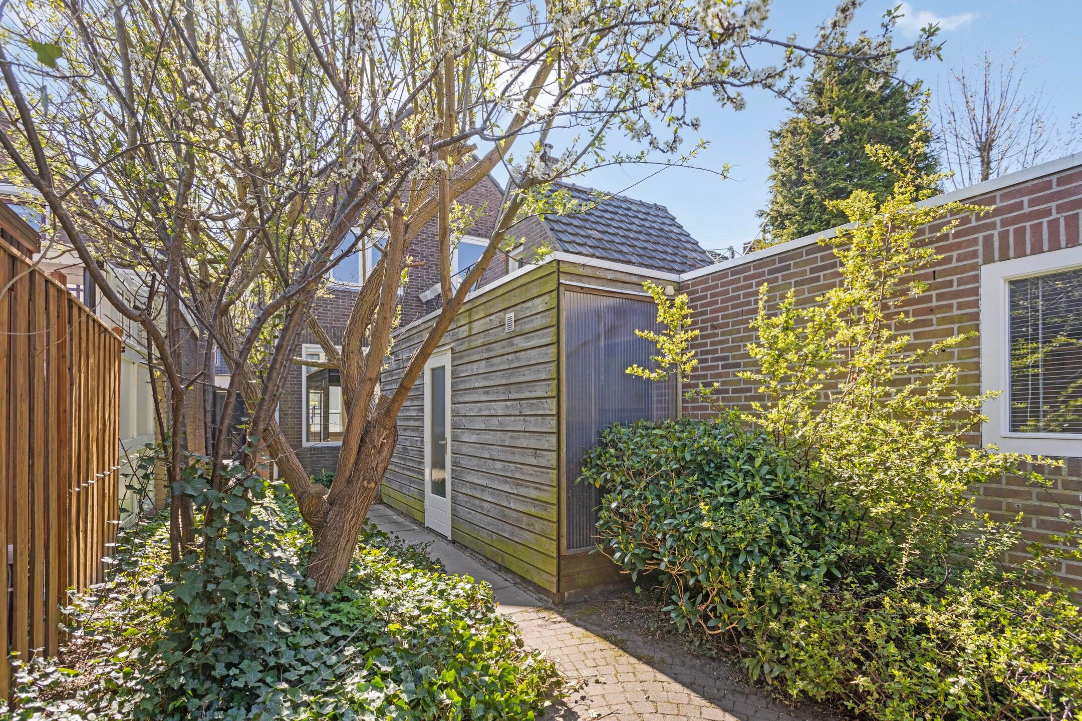 Foto 3 van Strijpsestraat 244