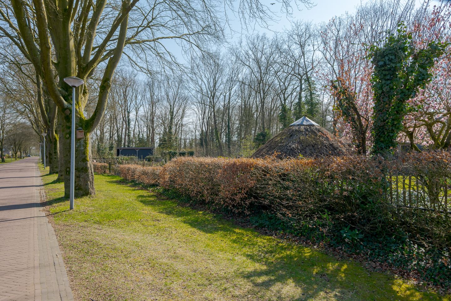 Foto 4 van Brammertstraat 16-D