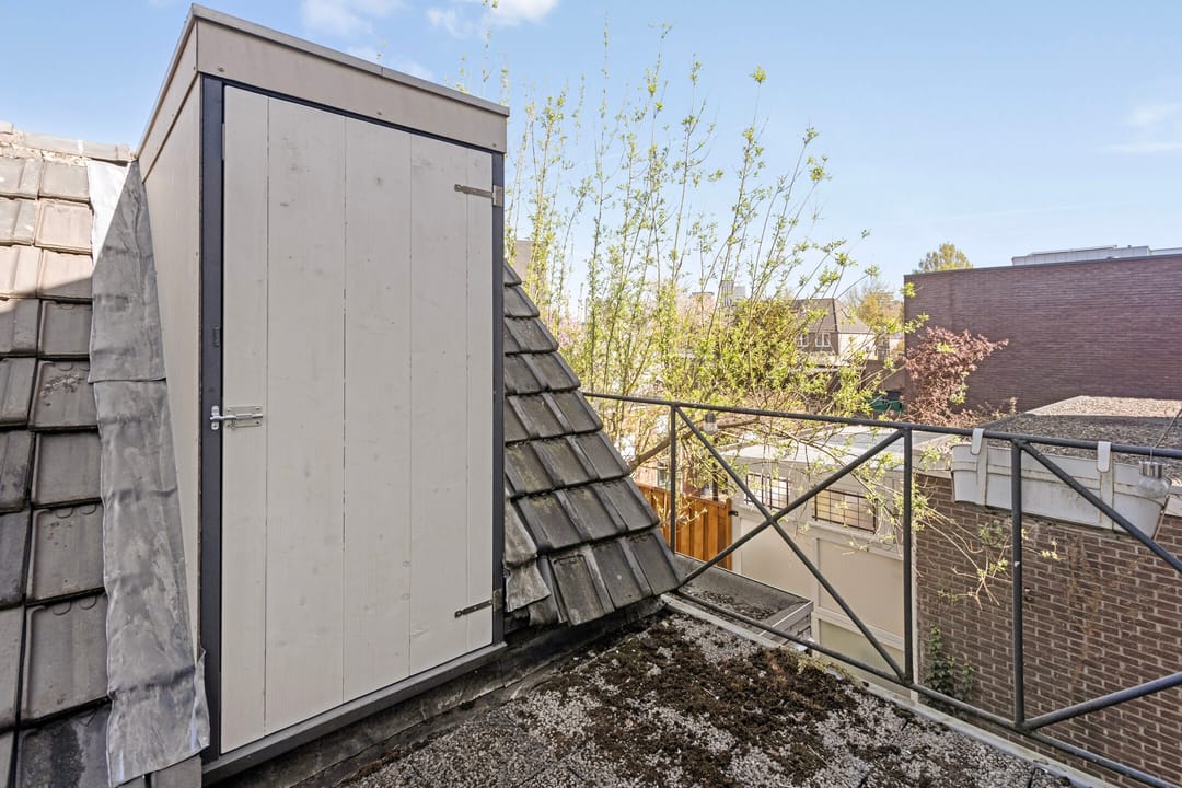 Foto 38 van Strijpsestraat 244