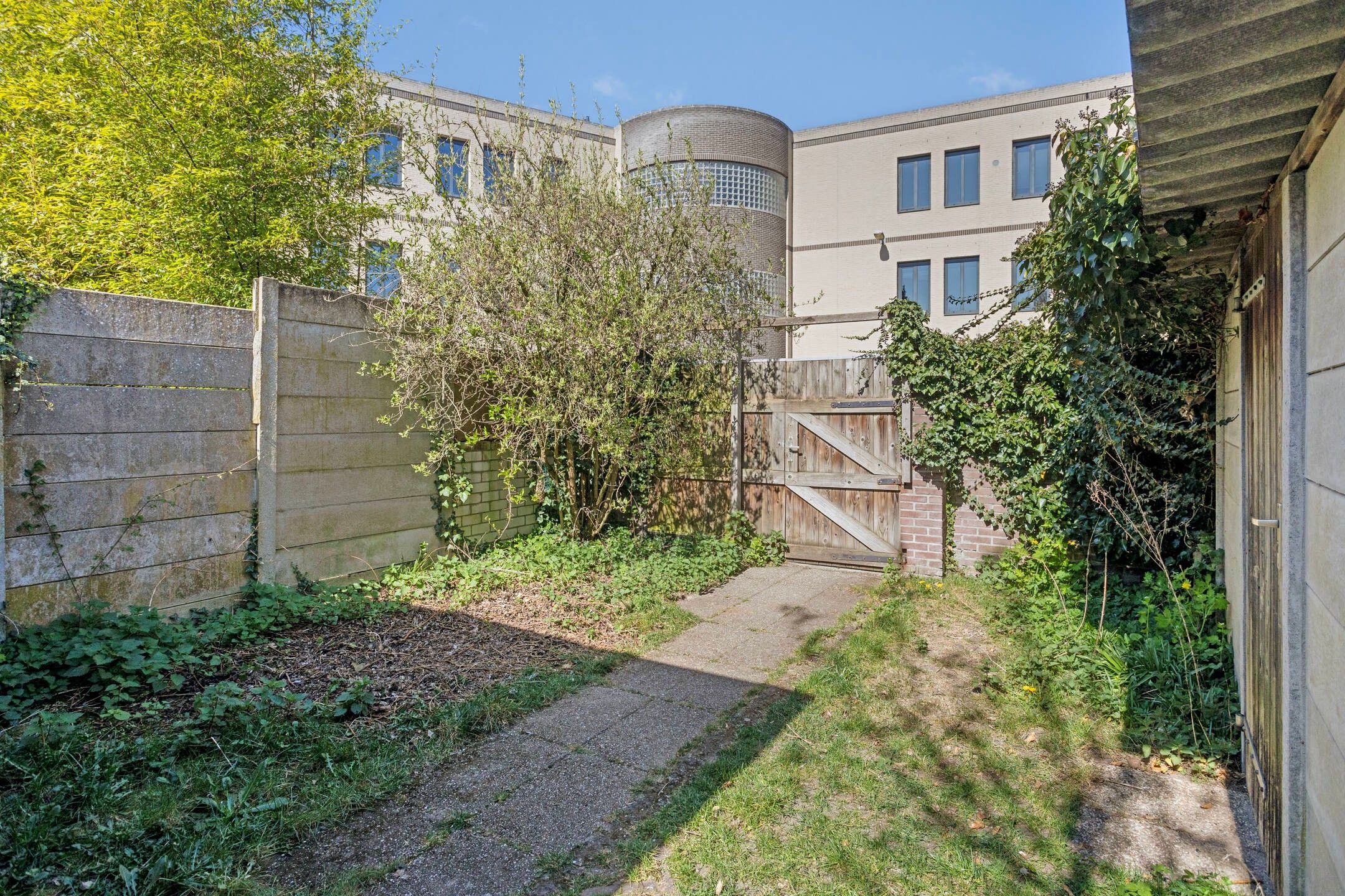 Foto 42 van Strijpsestraat 244