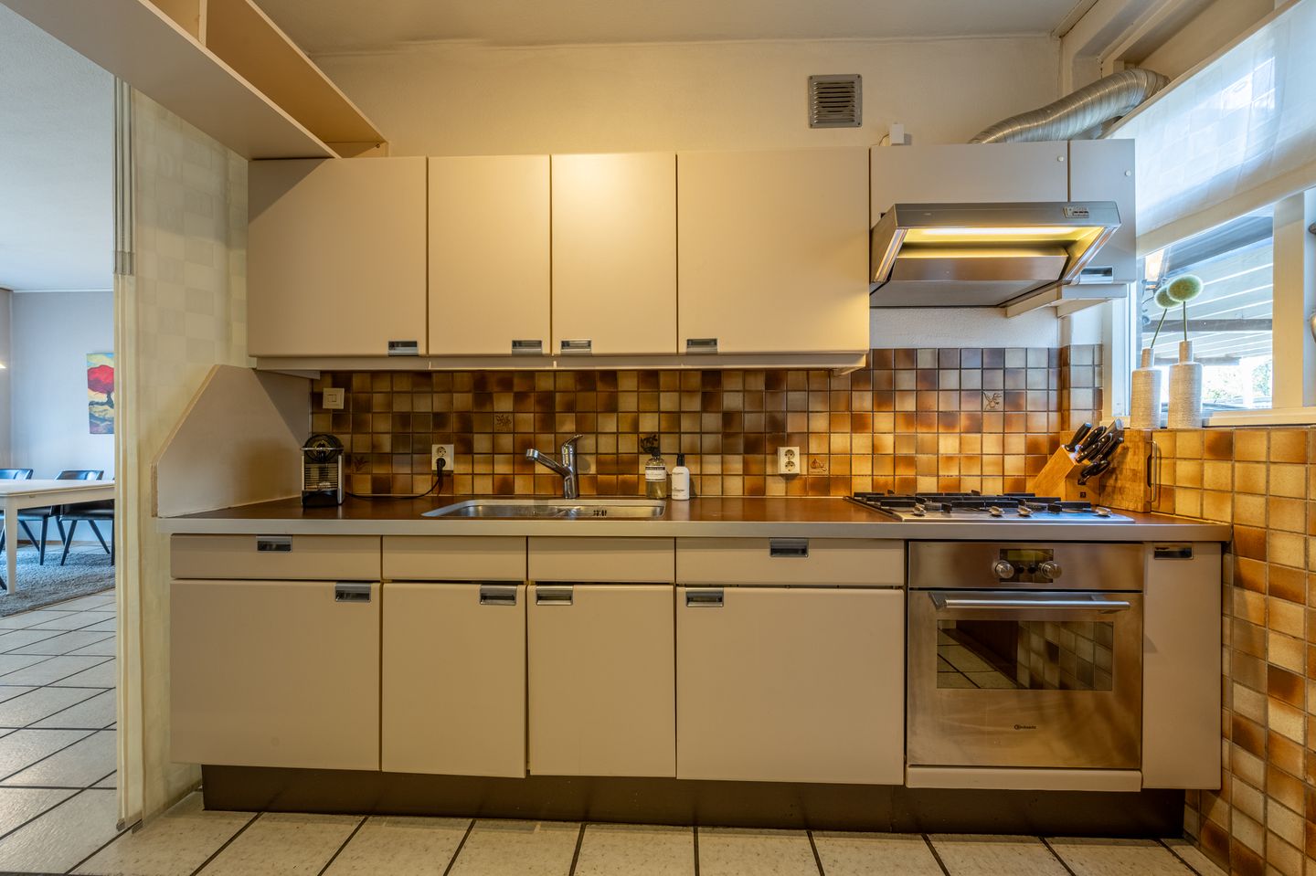 Photo 10 of Vlietland 49