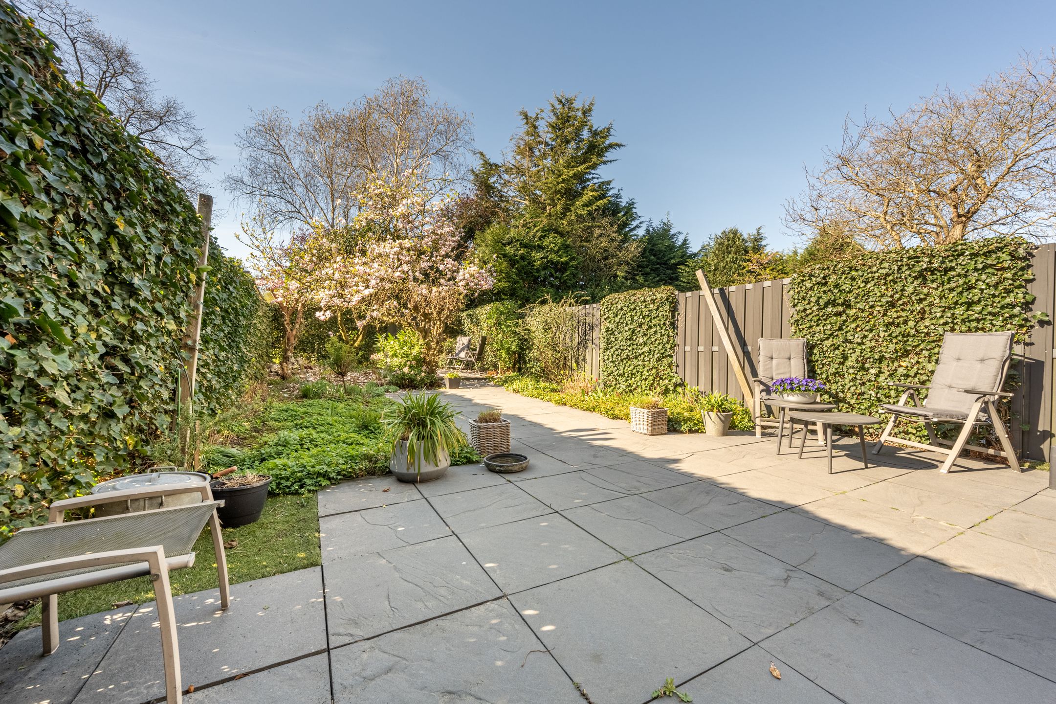 Photo 33 of Vlietland 49