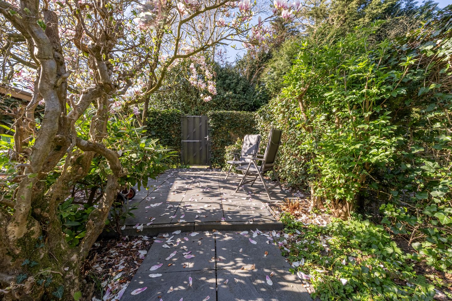 Photo 34 of Vlietland 49