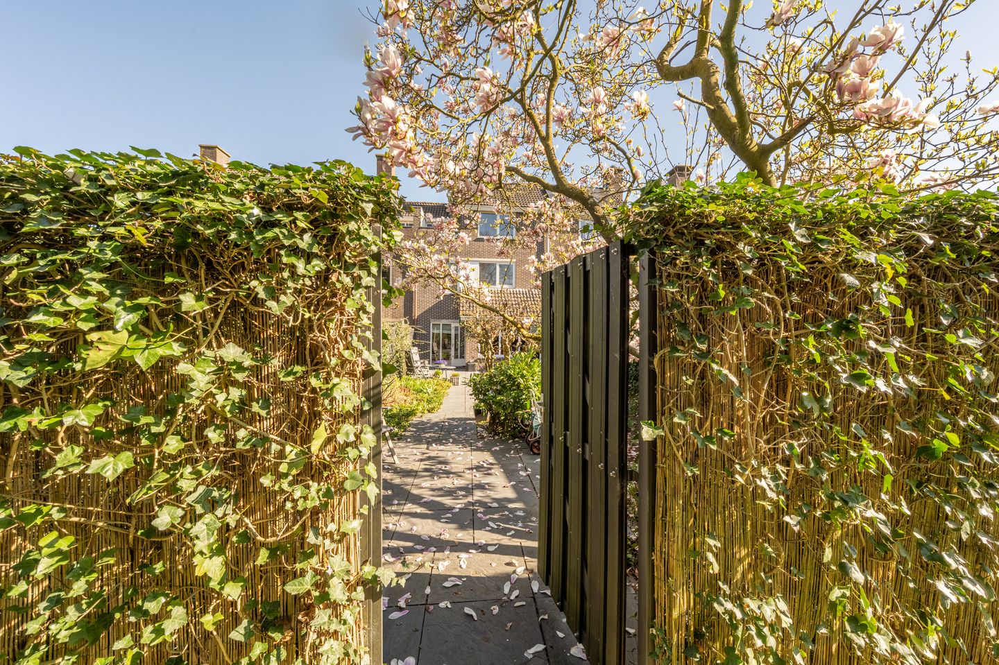 Photo 35 of Vlietland 49