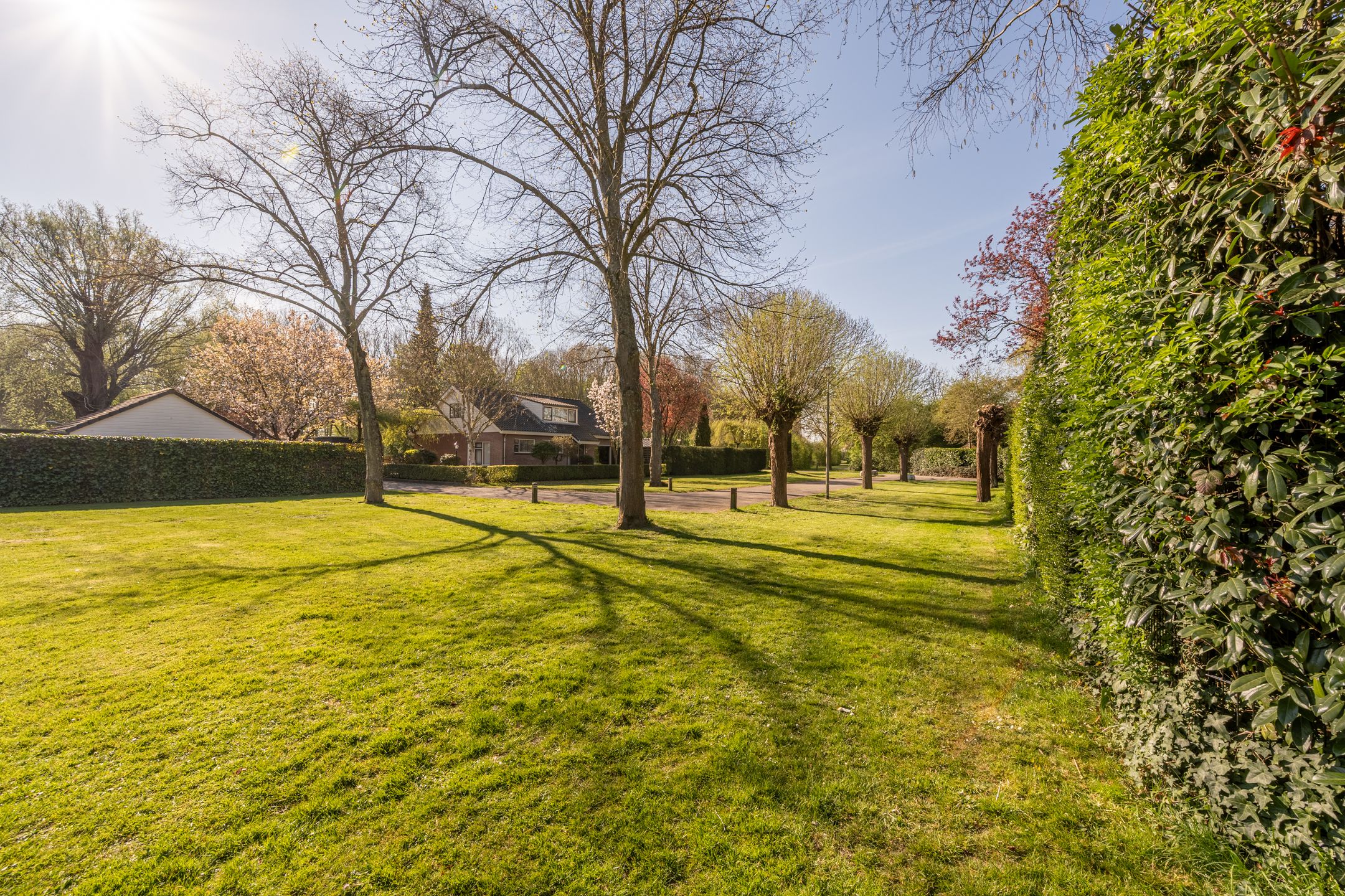 Photo 36 of Vlietland 49