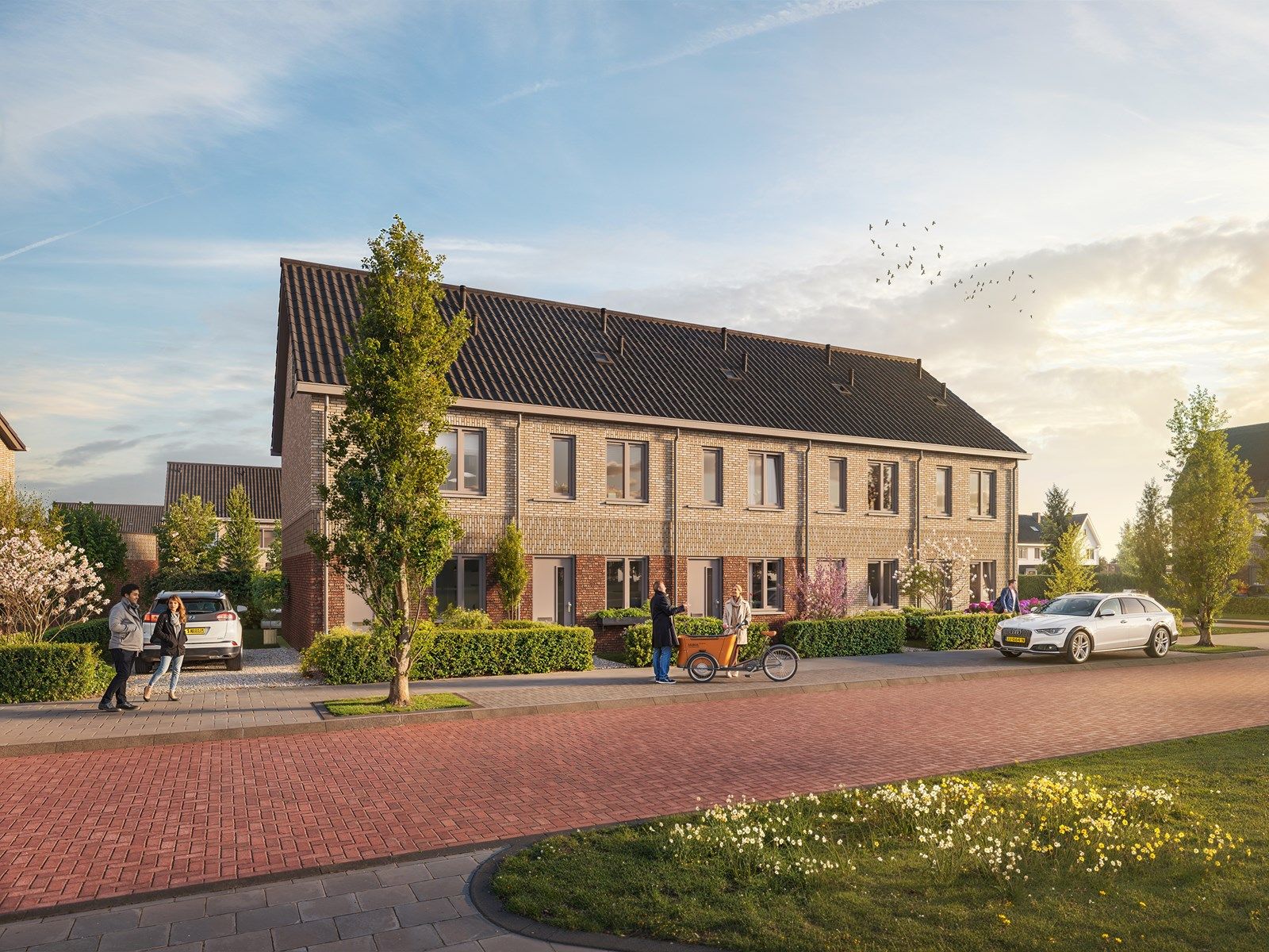 Photo 6 of In voorbereiding- Op Zuid in Zetten fase 2