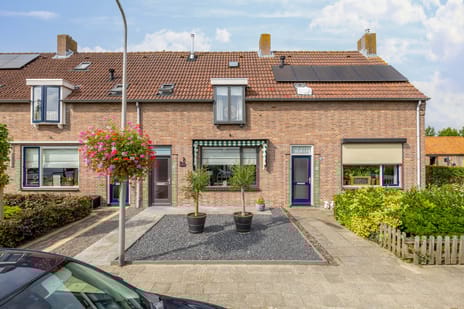 undefined main image