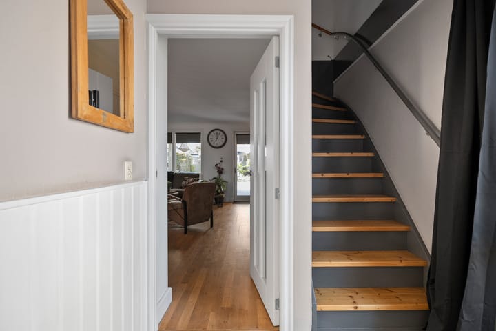 Foto 7 van Kaapfeugel 38