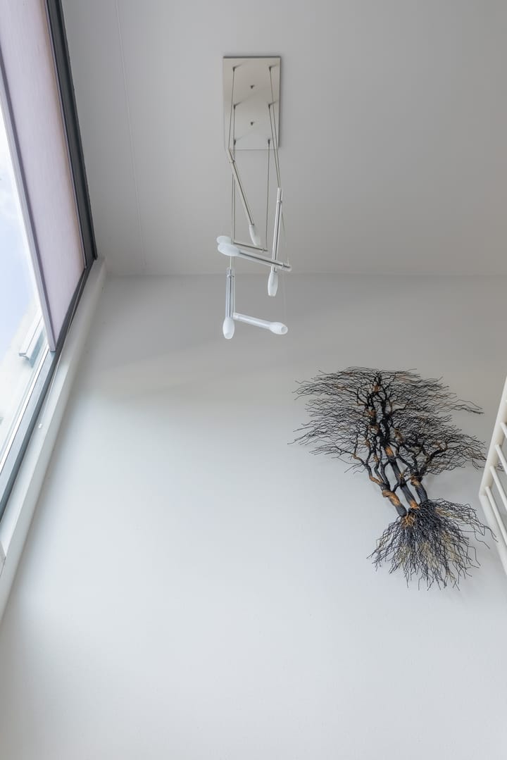 Foto 14 van Sint-Jorisveld 11