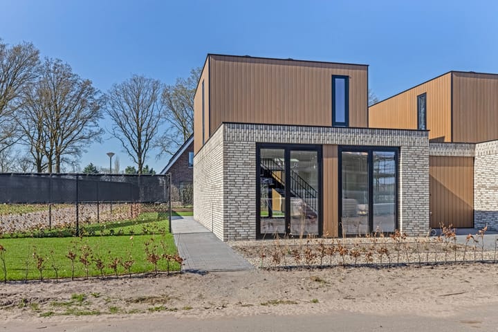 Foto 2 van Blauwlegger 1