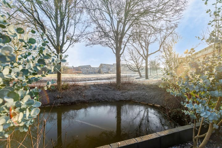 Foto 19 van Stoelendans 52