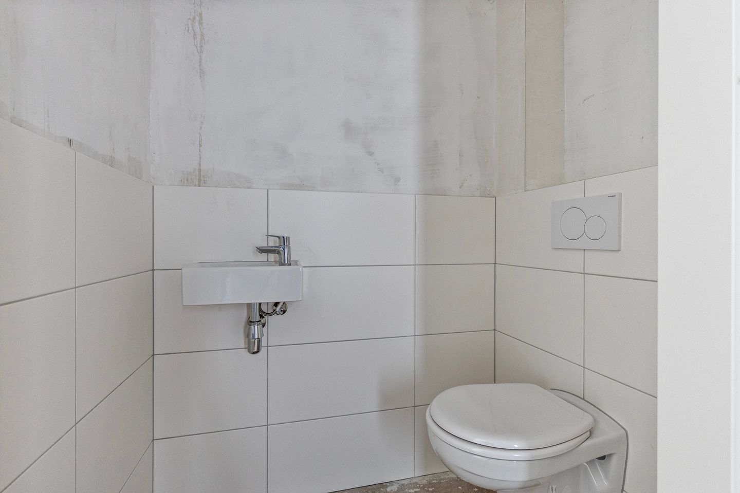 Foto 10 van Blauwlegger 1