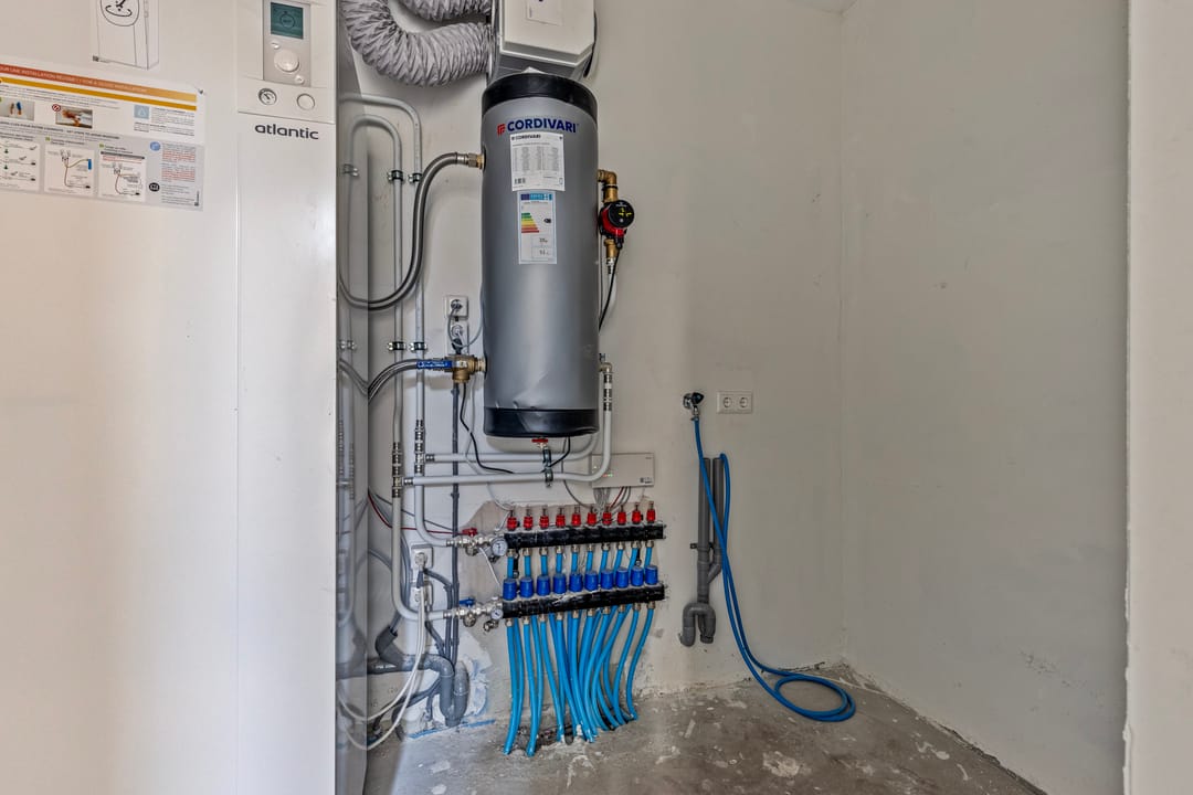 Foto 11 van Blauwlegger 1