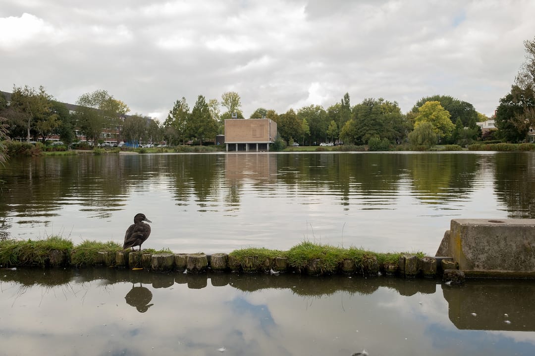 Foto 41 van Gratamastraat 63