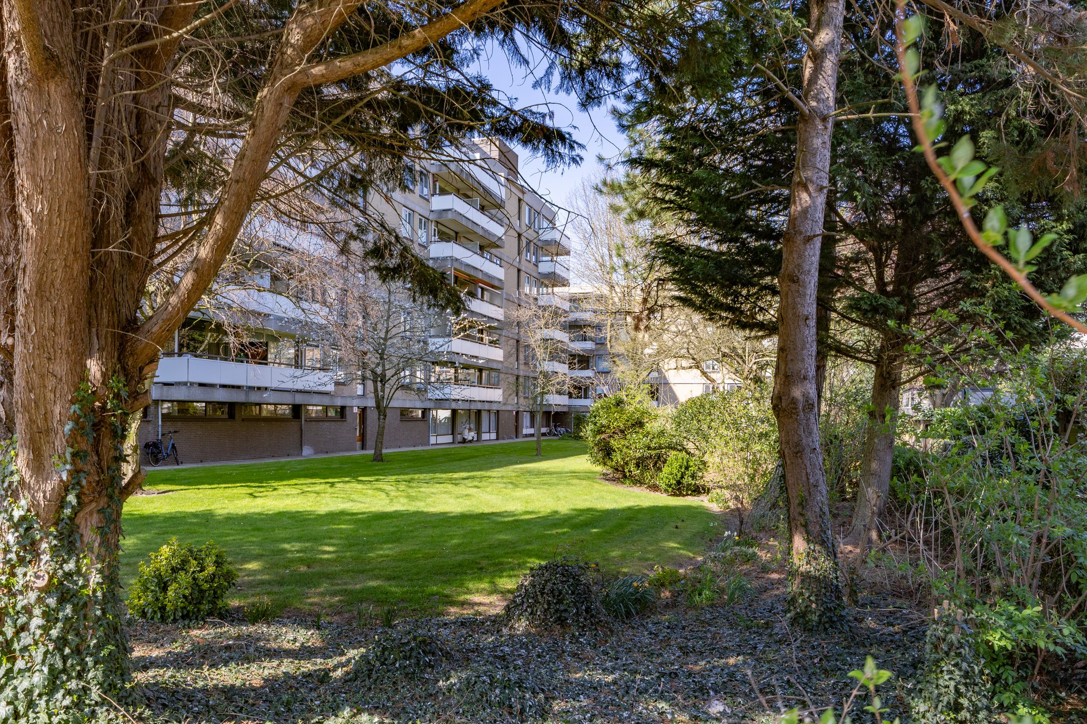 Foto 30 van Prof. Meijerslaan 15