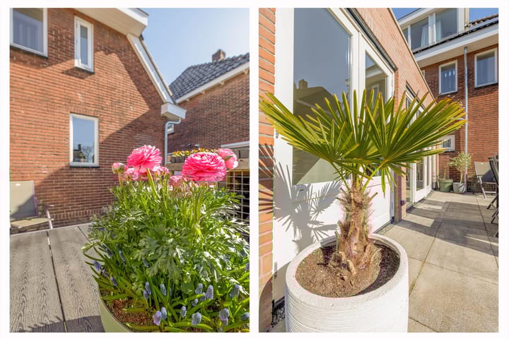 Foto 38 van Hobahostraat 6