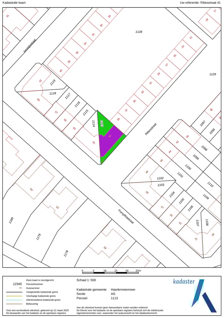 Foto 49 van Ribesstraat 41