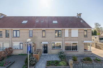 Pijlkruidstraat thumbnail