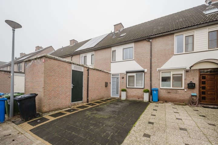 Photo 1 of Plevier 8