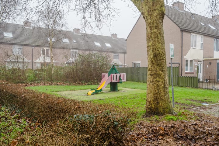 Photo 6 of Plevier 8