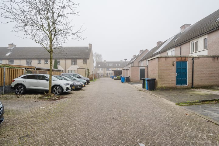 Photo 7 of Plevier 8