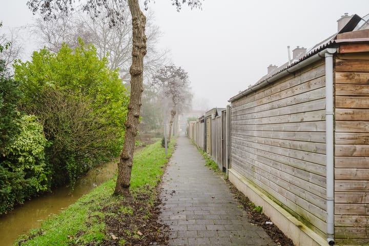 Photo 8 of Plevier 8