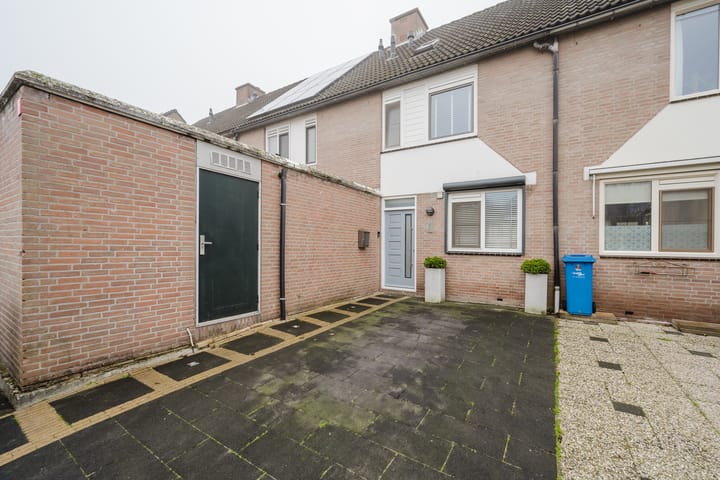 Photo 9 of Plevier 8