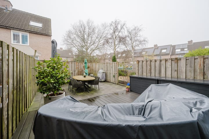 Photo 16 of Plevier 8