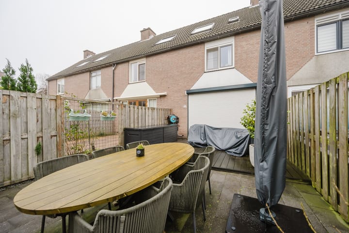 Photo 17 of Plevier 8