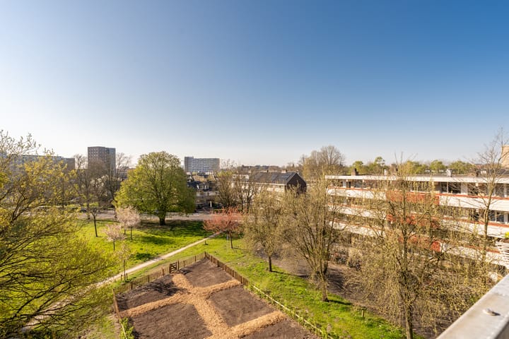 Photo 32 of Martin Luther Kinglaan 612