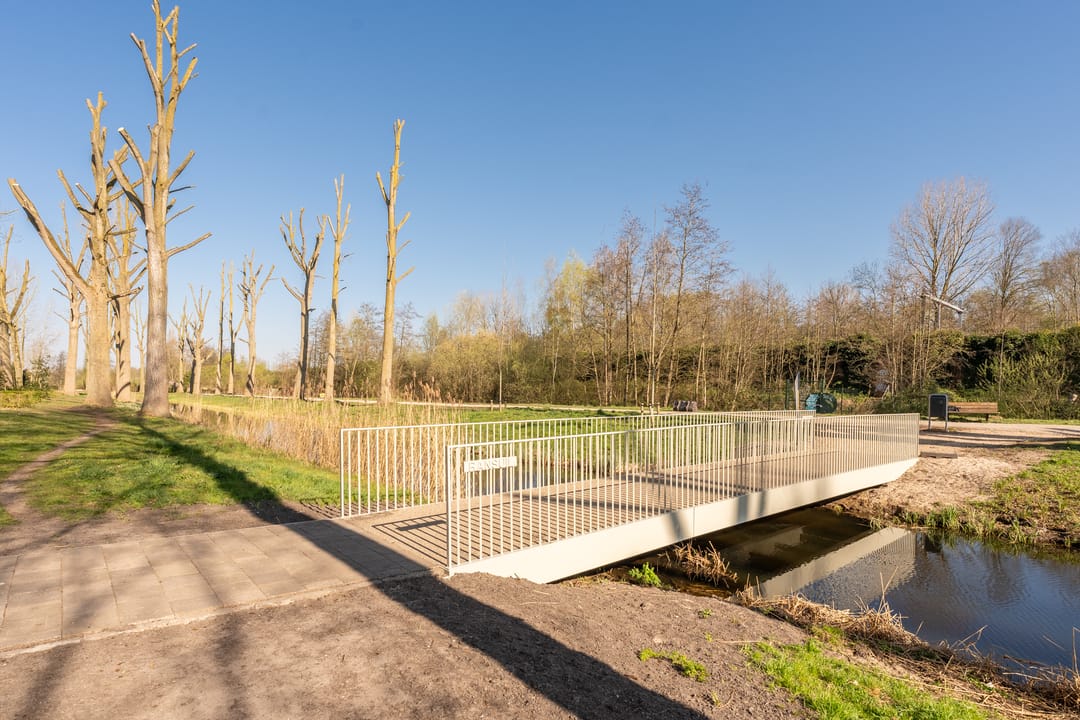 Foto 47 van Martin Luther Kinglaan 612