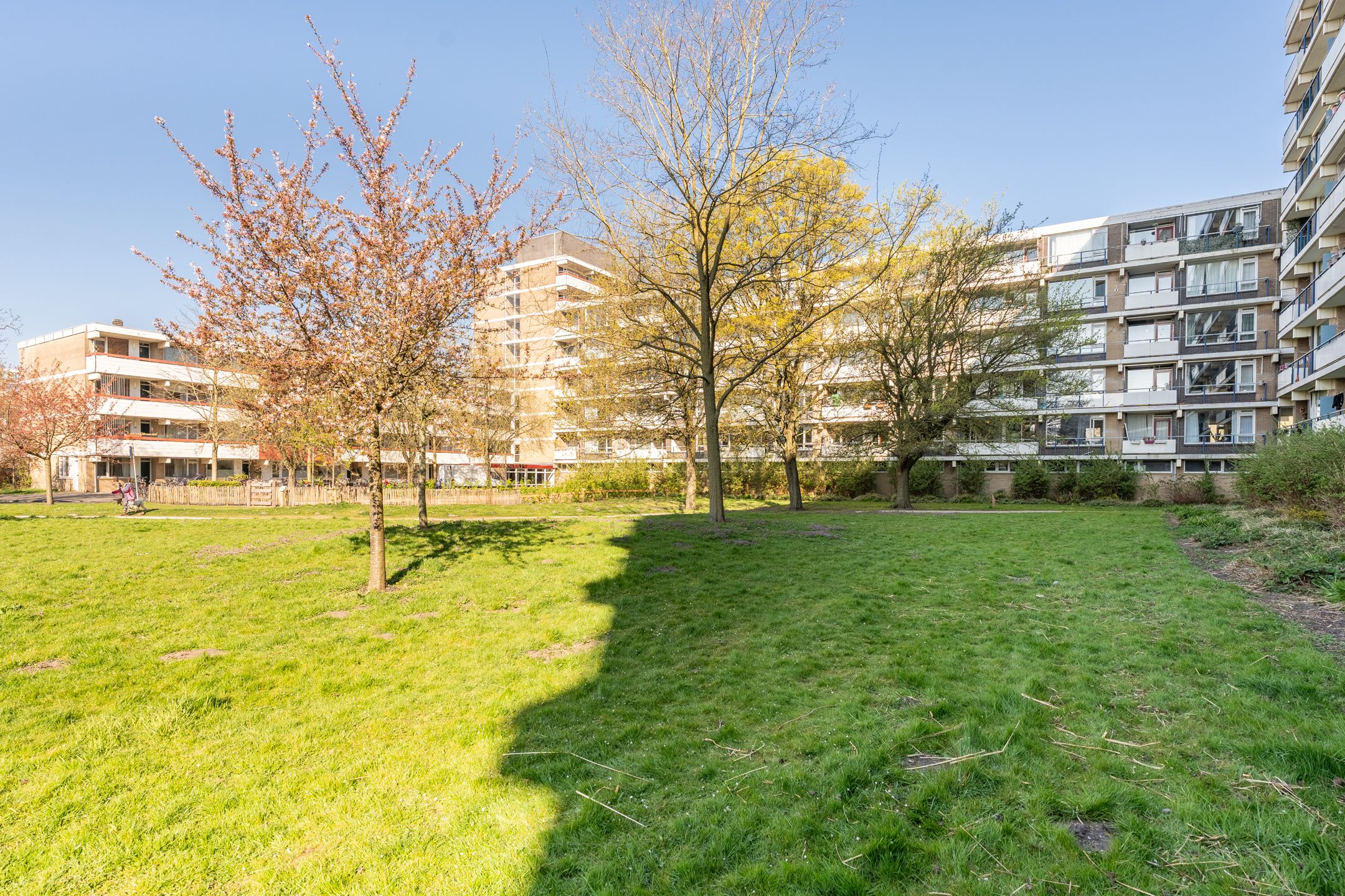 Foto 48 van Martin Luther Kinglaan 612