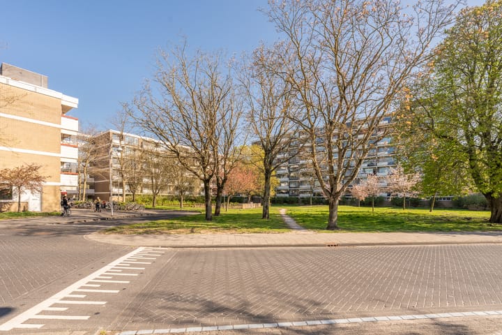 Photo 49 of Martin Luther Kinglaan 612