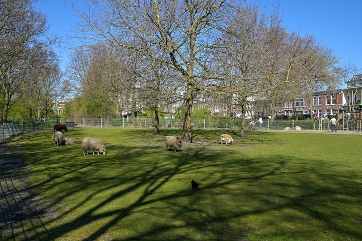 Photo 27 of Katwijkstraat 20