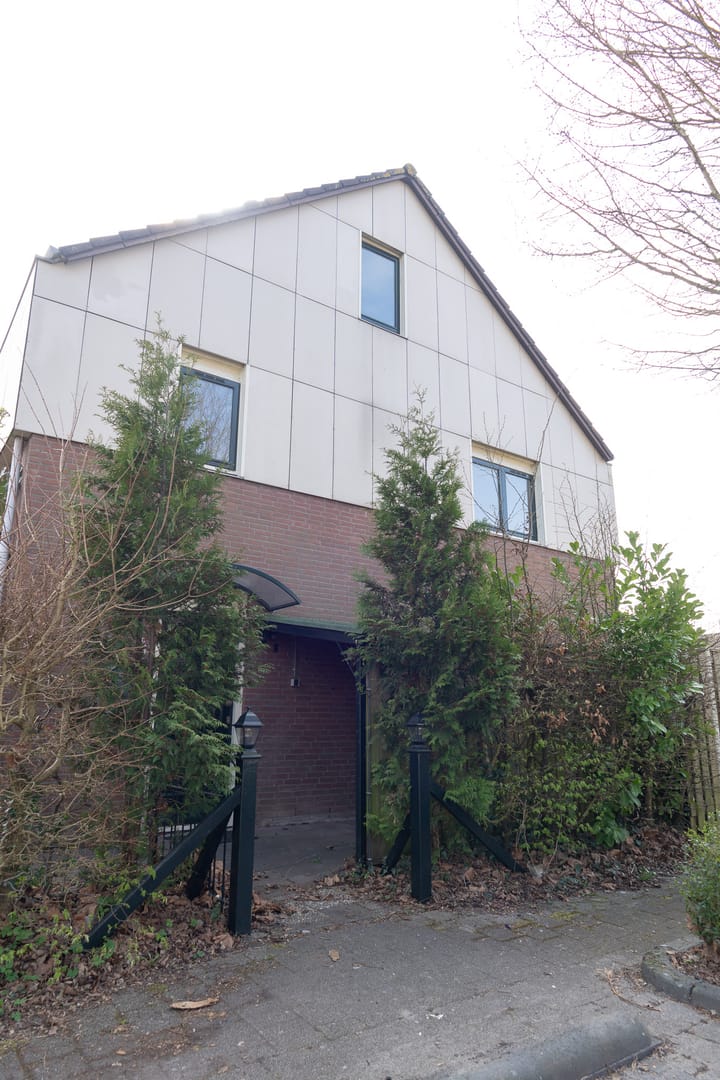 Foto 2 van Punter 30 2