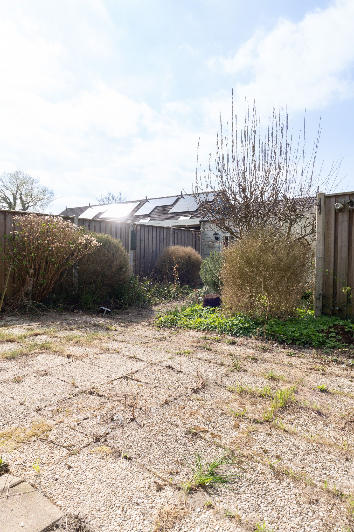 Foto 30 van Punter 30 2