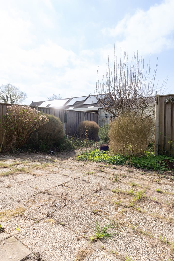 Foto 30 van Punter 30 2