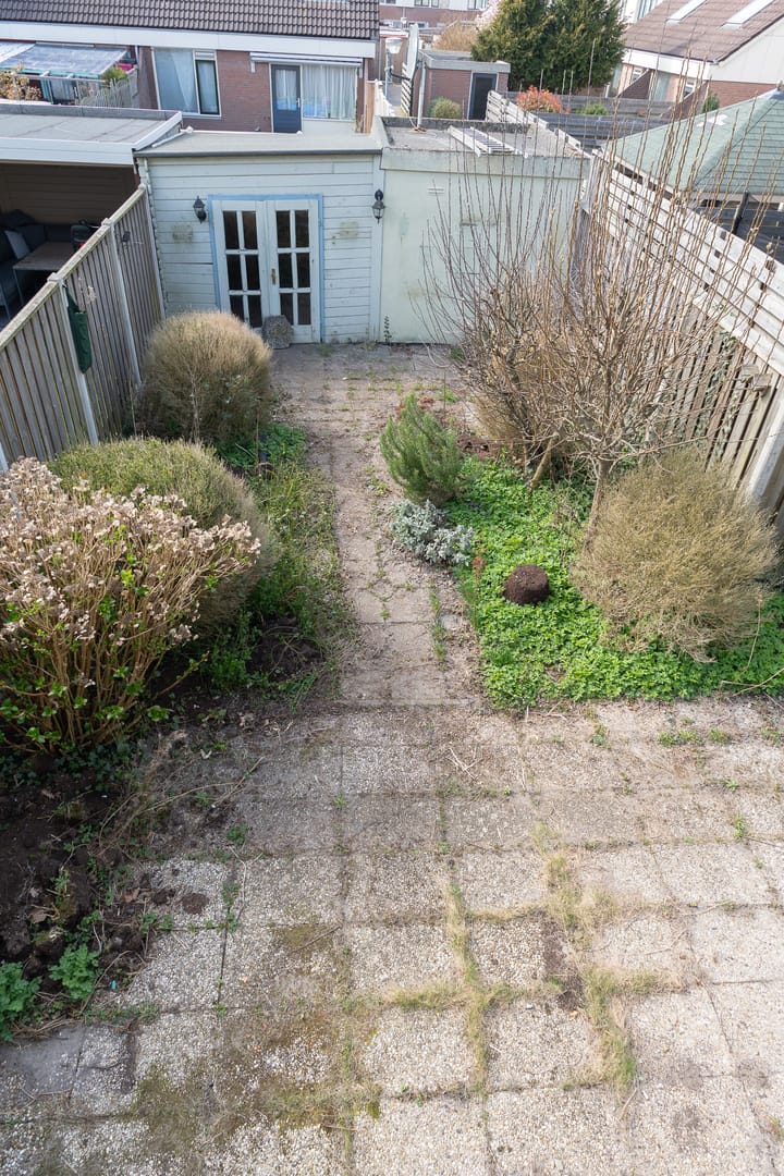 Foto 31 van Punter 30 2