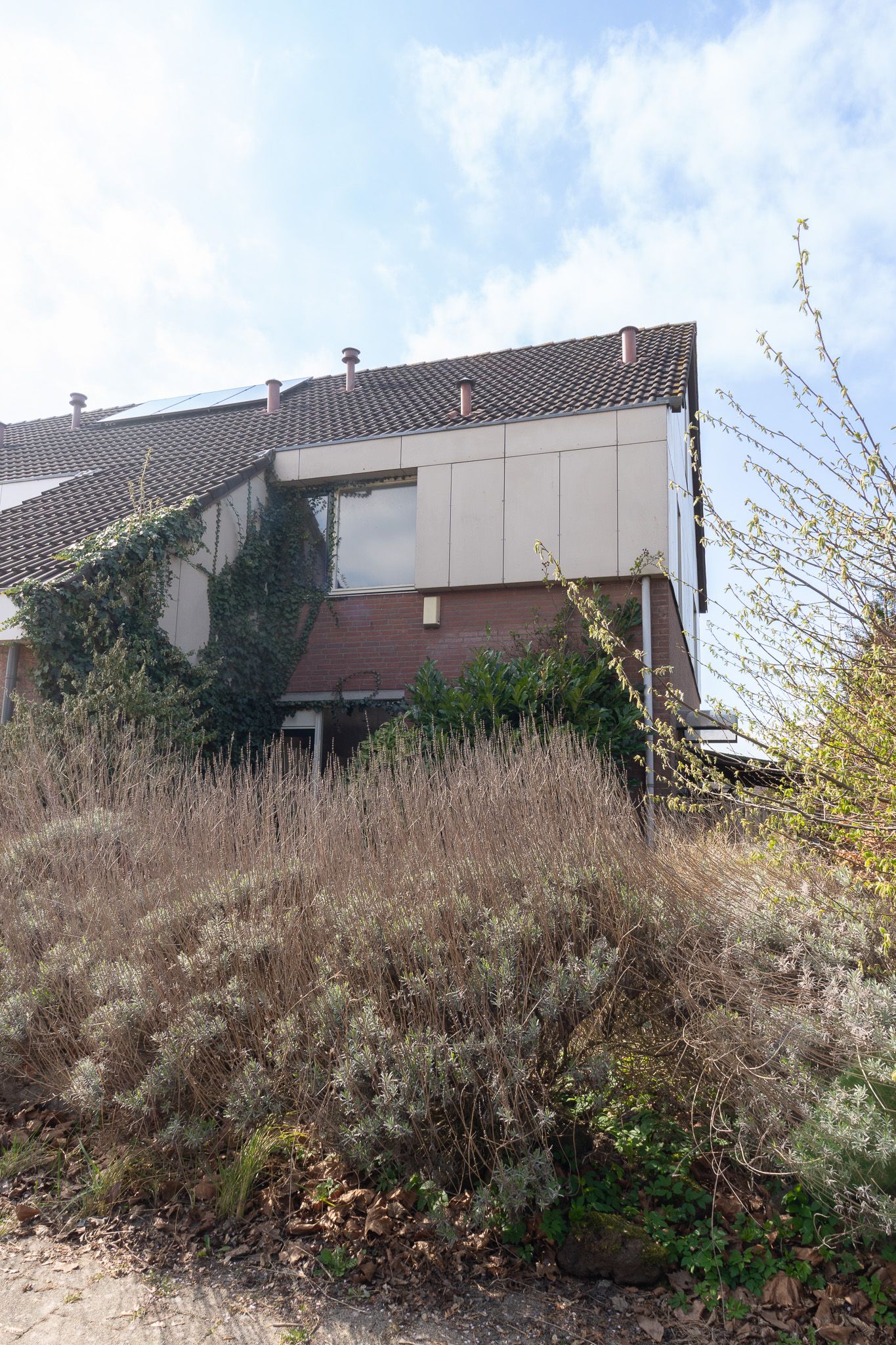 Foto 34 van Punter 30 2