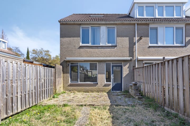 Foto 6 van Midscheeps 2