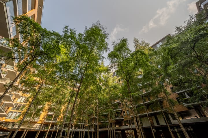 Foto 33 van Binnenrotte 383