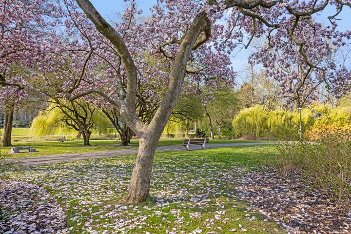 Foto 67 van Jan Smitzlaan 10