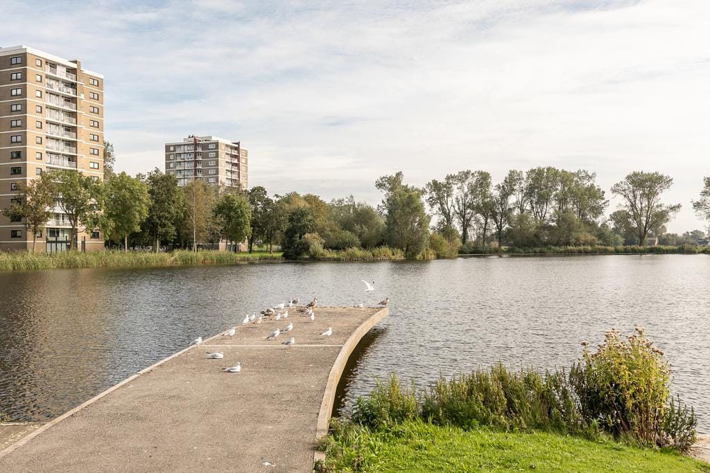 Foto 37 van Nico Andriessenstraat 43-A05