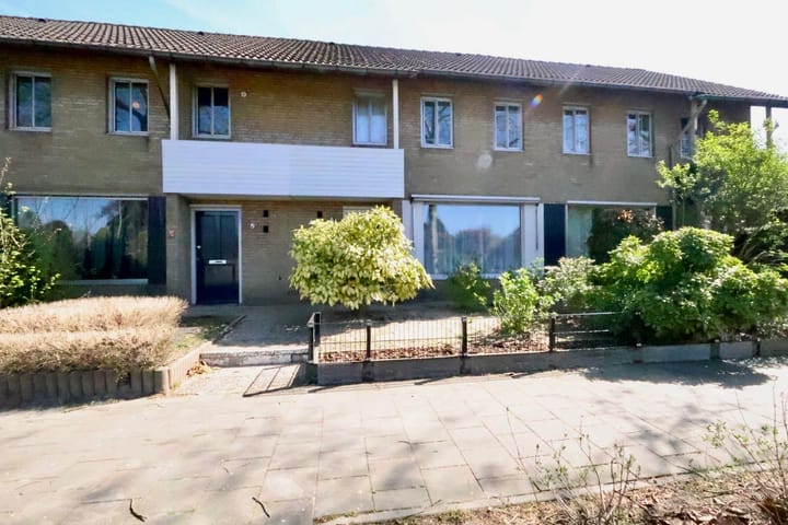 undefined main image